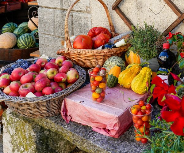 digital marketing for Farmers: How Farmers Can Grow Their Business Online